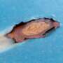 How To Prevent Rust Spots From Appearing on Your Car